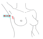 3d2.webp