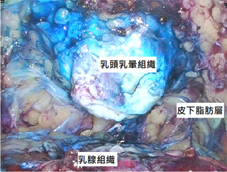 3d3.webp